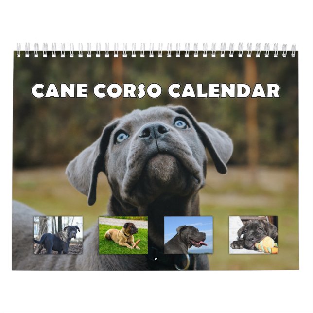 Calendário Cane Corso (Capa)