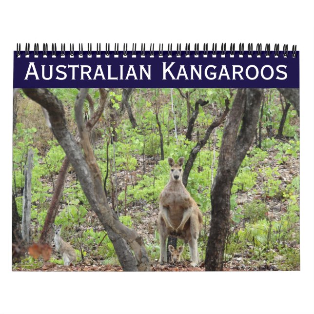 Calendário cangurus australianos 2025 (Capa)