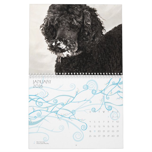 Calendário Caniche padrão 2010 (Jan 2026)