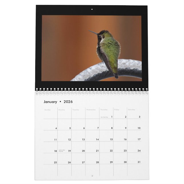 Calendário Cante uma canção nova diária (Jan 2026)