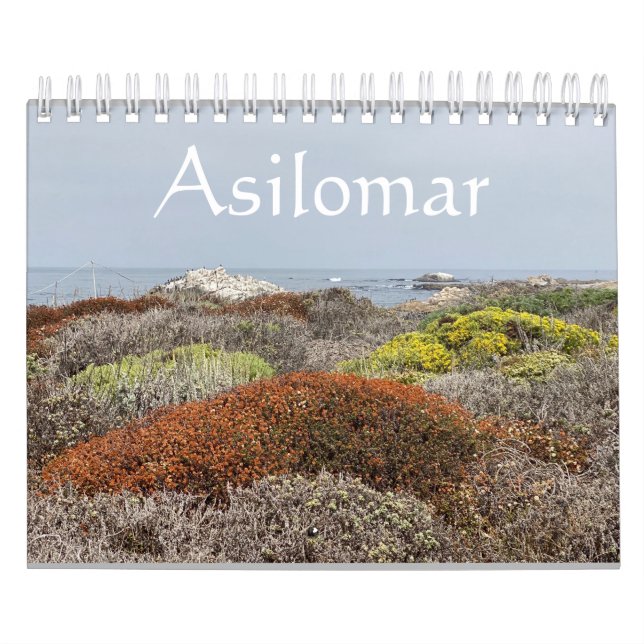 Calendário Canvas da Califórnia: Asilomar (Capa)