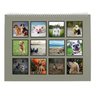 Calendário Cão