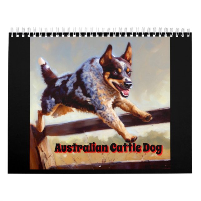 Calendário Cão de Bovinos Australiano (Capa)