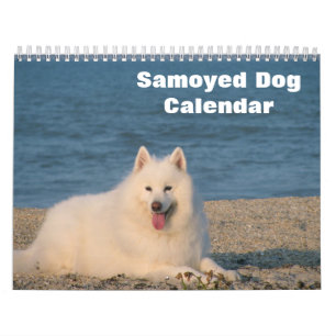 Calendário Cão Samoyed 2025