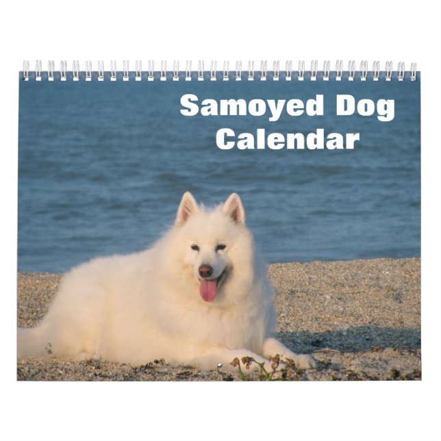 Calendário Cão Samoyed 2025 (Capa)