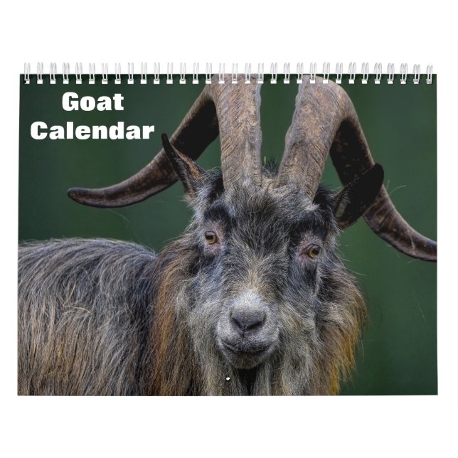 Calendário Caprino 2025 (Capa)