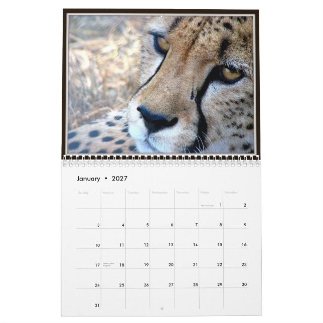 Calendário Caras do animal selvagem (Jan 2027)
