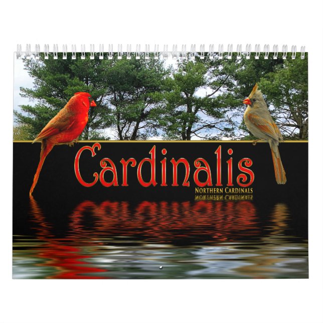 Calendário Cardinais vermelhos nortes Cardinalis Fotos bonita (Capa)