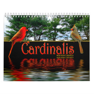 Calendário Cardinais vermelhos nortes Cardinalis Fotos bonita
