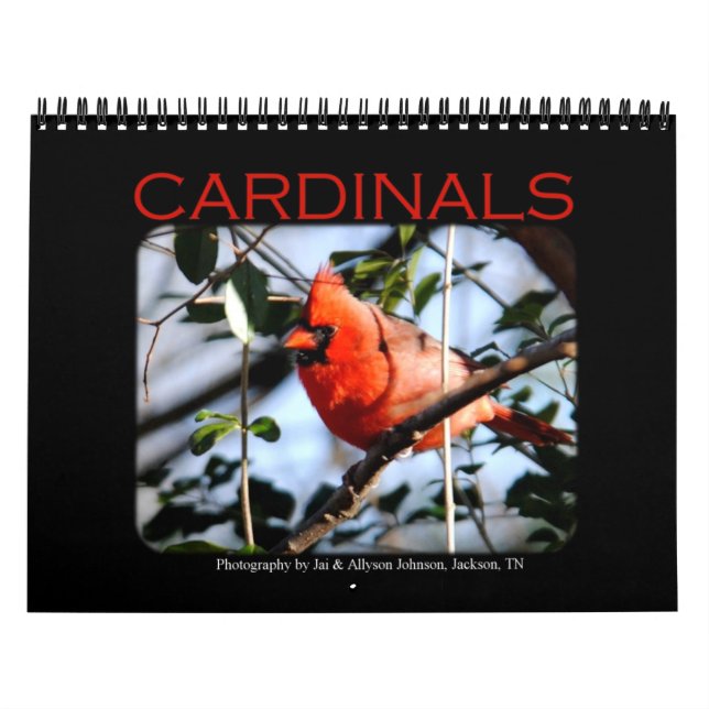 Calendário cardinal (Capa)