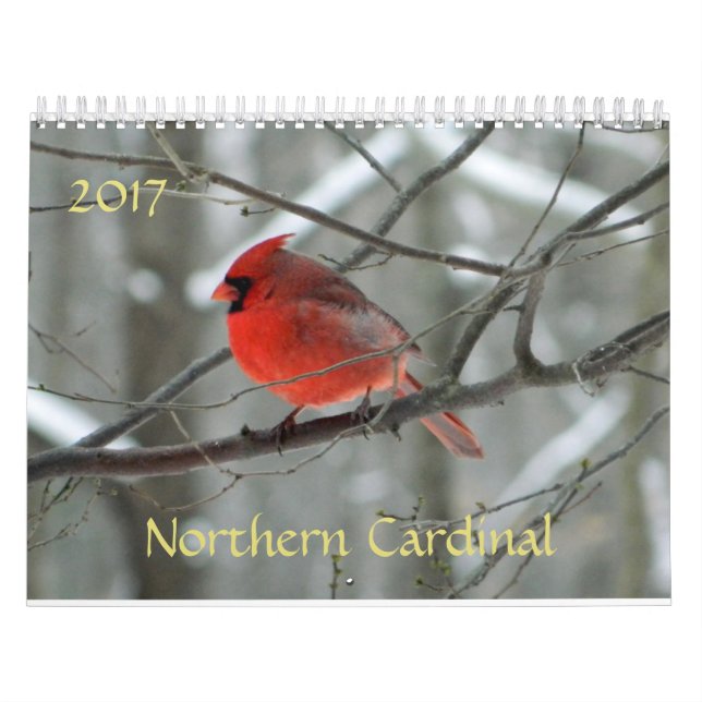 Calendário Cardinal do norte (Capa)