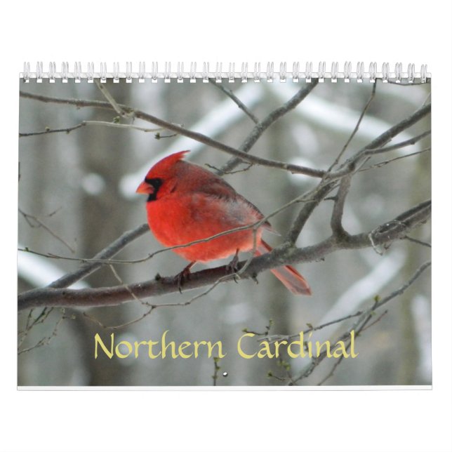 Calendário cardinal do norte (Capa)