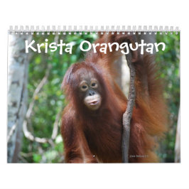 Calendário Caridade da vida selvagem de Krista Orangutan