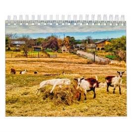 Calendário Cathy P. Jones 2019