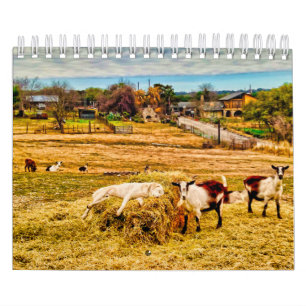 Calendário Cathy P. Jones 2019