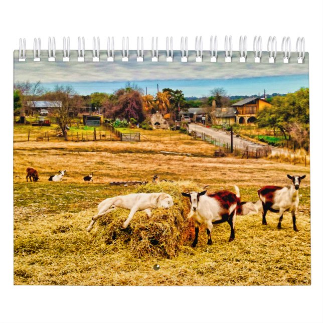 Calendário Cathy P. Jones 2019 (Capa)