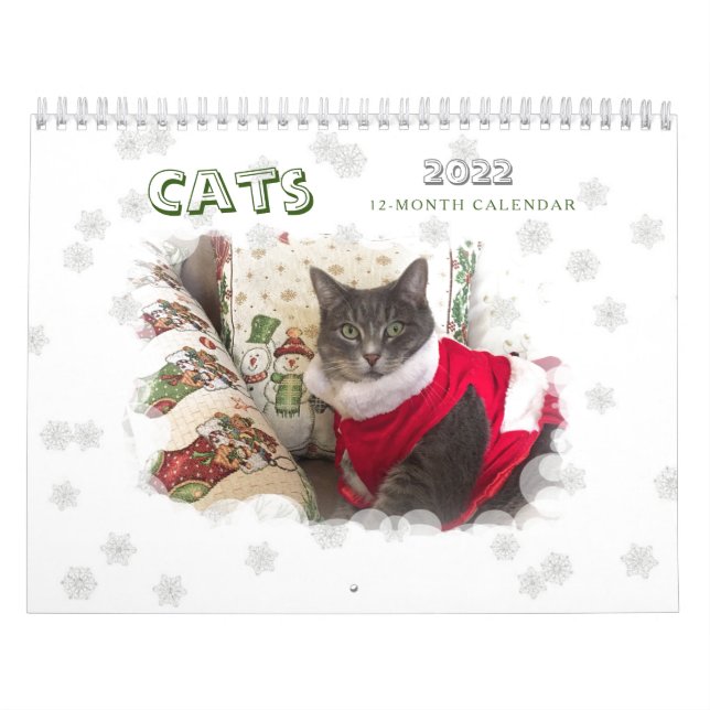 Calendário Cats 2022 (Capa)