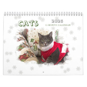 Calendário Cats 2024