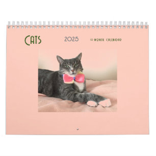Calendário Cats 2025