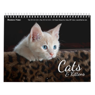 Calendário Cats Business Company Wall Calendar 2024