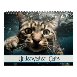 Calendário Cats Submarinos Fotografia Engraçada