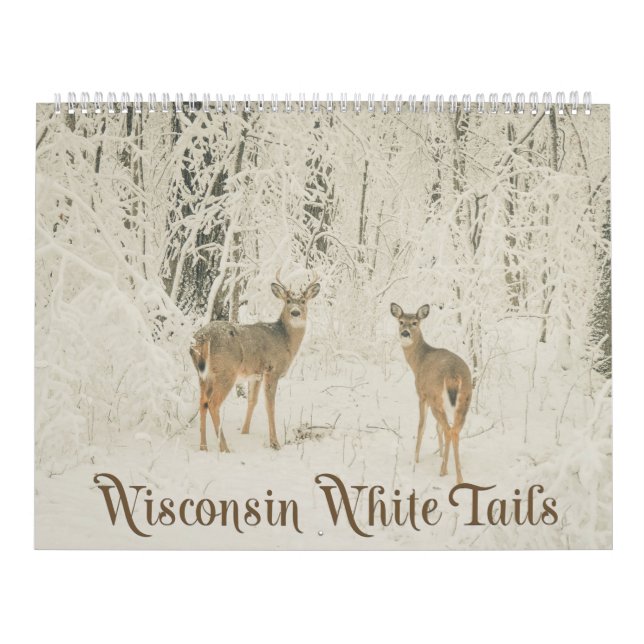 Calendário Caudas brancas de Wisconsin (Capa)