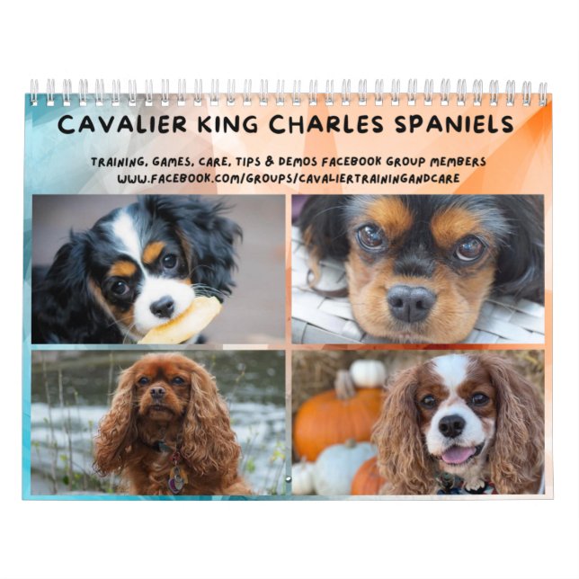 Calendário Cavalier King Charles Spaniel Grupo FB (Capa)