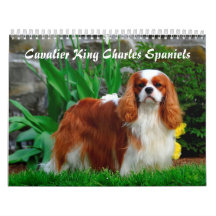 Cavalier Rei Charles Spaniel
