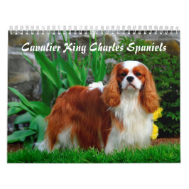 Calendário Cavalier Rei Charles Spaniel