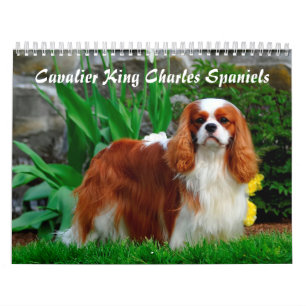 Calendário Cavalier Rei Charles Spaniel