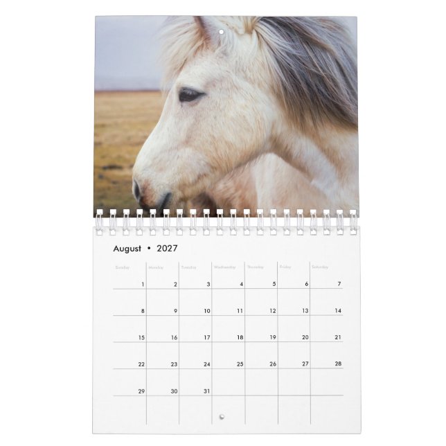 Calendário Cavalo (Ago 2027)