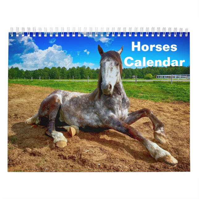 Calendário Cavalo 2025 (Capa)