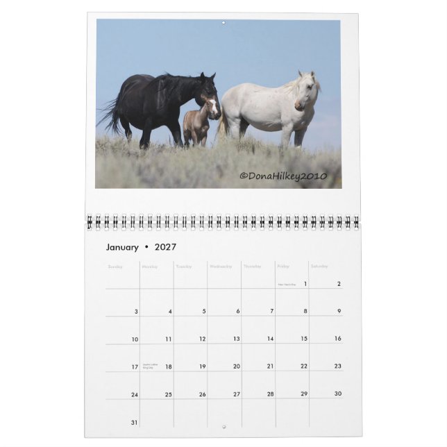 Calendário Cavalo selvagem Calander de bacia de lavagem da (Jan 2027)