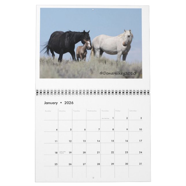 Calendário Cavalo selvagem Calander de bacia de lavagem da (Jan 2026)