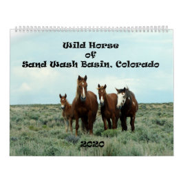 Calendário Cavalo Selvagem da Bacia de Lavagem de Areia
