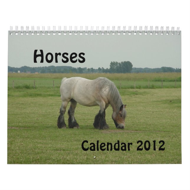 Calendário - cavalos (Capa)