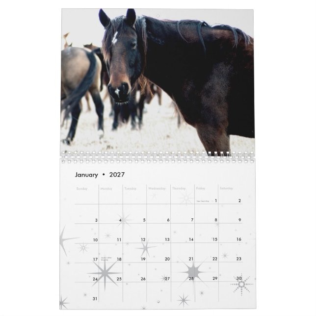 Calendário Cavalos das colinas do sílex (Jan 2027)