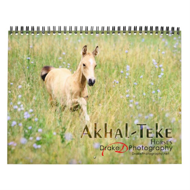 Calendário Cavalos de Akhal-Teke 2 (Capa)