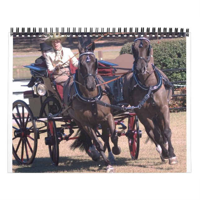 Calendário cavalos de condução (Capa)