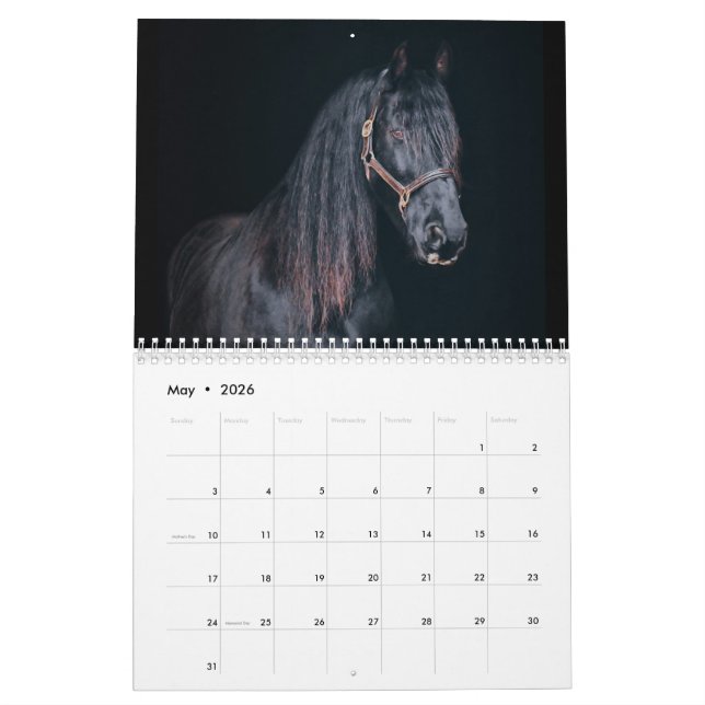 Calendário Cavalos de Fazenda Stargazer (Maio 2026)