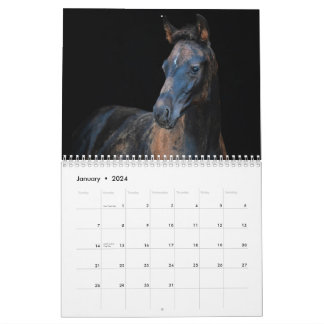 Calendário Cavalos de Fazenda Stargazer
