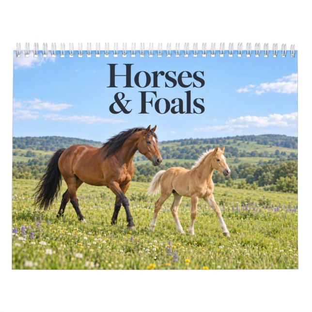 Calendário Cavalos e Potros Paisagem Cênica (Capa)