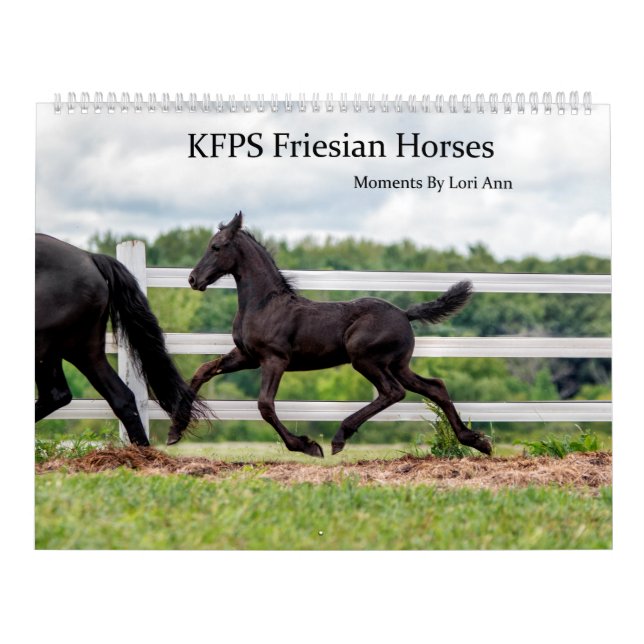 Calendário Cavalos Frísia do KFPS (Capa)