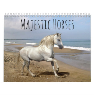 Calendário Cavalos Majestosos