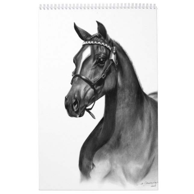 Calendário Cavalos Pintados À Mão (Capa)