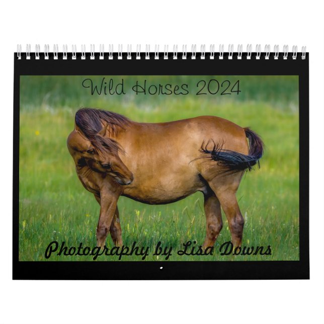 Calendário Cavalos selvagens 2024 (Capa)