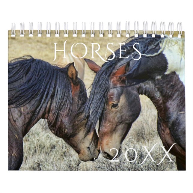 CALENDÁRIO CAVALOS SELVAGENS, ANO DIÁRIO (Capa)