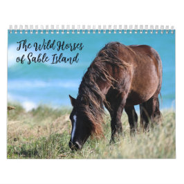 Calendário Cavalos Selvagens da Ilha de Sable