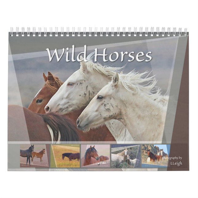 Calendário Cavalos Selvagens do Oeste (Capa)