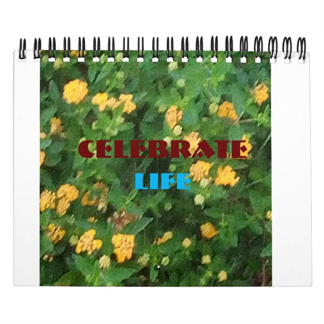 Calendário Celebração da vida (Capa)